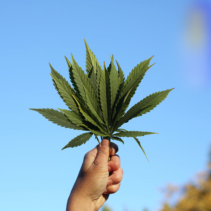 Strain-Inspired Wanderlust