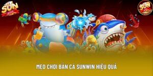 Top 5 Mẹo Chơi Bắn Cá Sunwin Hiệu Quả Từ Giới Cao Thủ